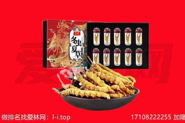 荆州市石首回收虫草.jpg